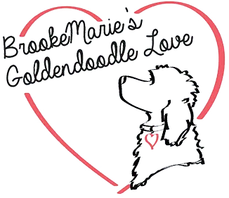 BrookeMarie’s Goldendoodle Love