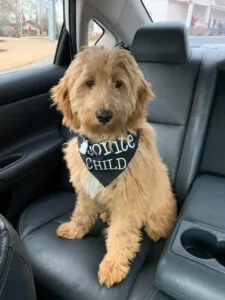 Riley 6 months
