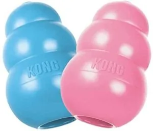 kong puppy medium