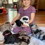 Previous Litter