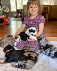 Previous Litter