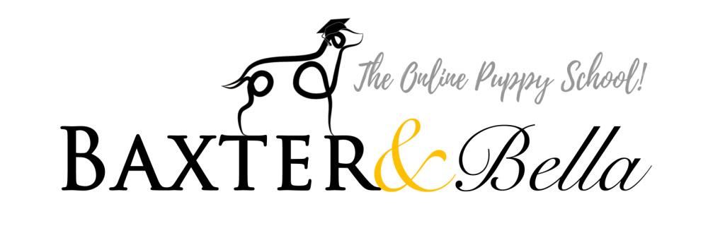 BAXTER-Bella-Online-Training-School_1000x333
