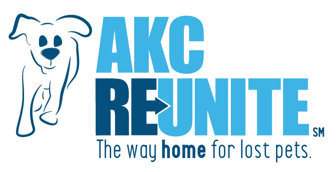 REUNITE_Two-Blue-Color-Logo