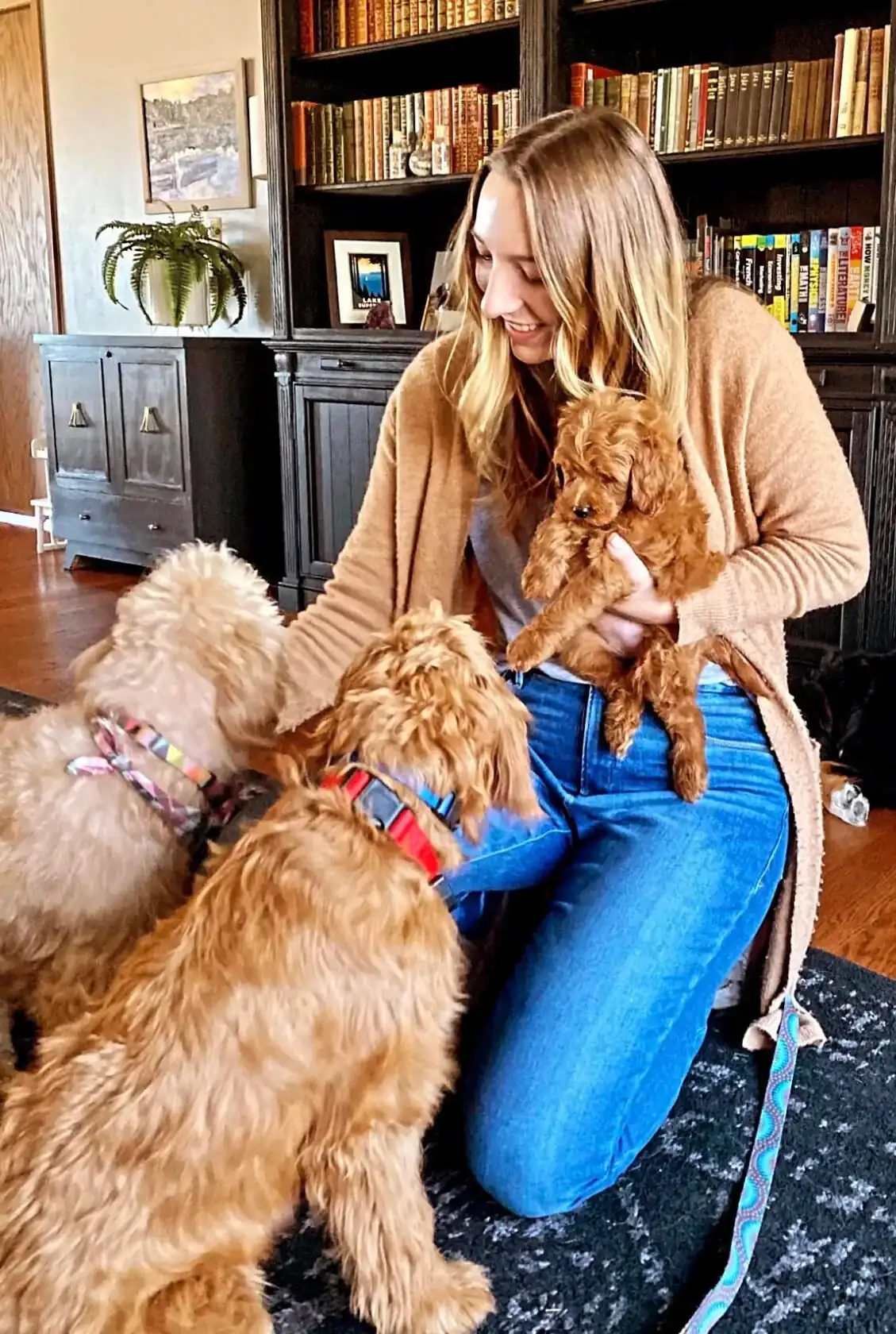 brooke and minis